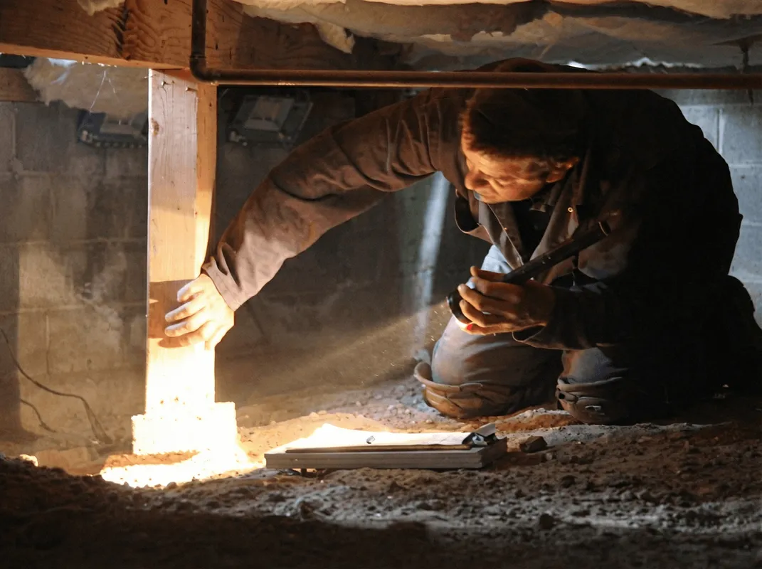 A professional inspecting wooden beams under the floor of a structure in Denver, CO